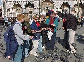 birds4.jpg (34810 bytes)