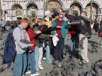 birds5.jpg (35756 bytes)
