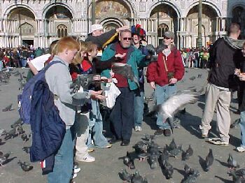 birds6.jpg (33056 bytes)