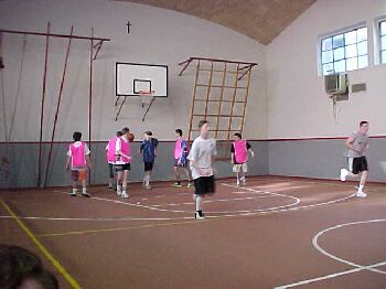 ball1.jpg (18452 bytes)