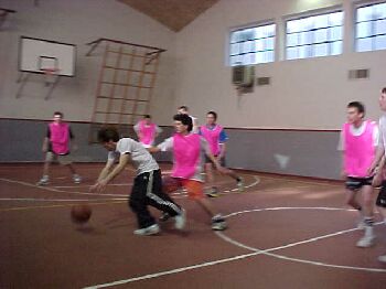 ball3.jpg (17045 bytes)