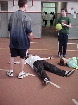 gym7.jpg (19828 bytes)