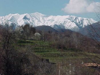 view3.jpg (20374 bytes)