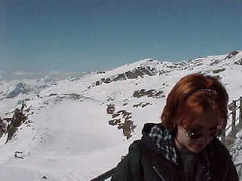 alps1.jpg (18540 bytes)