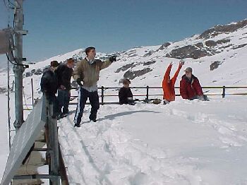 alps19.jpg (22571 bytes)