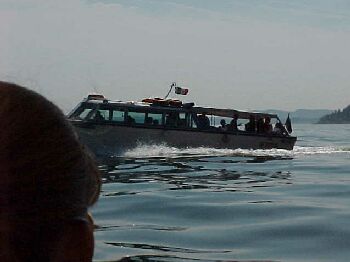mag10.jpg (13787 bytes)