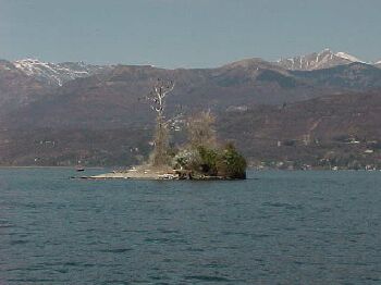 mag22.jpg (14974 bytes)